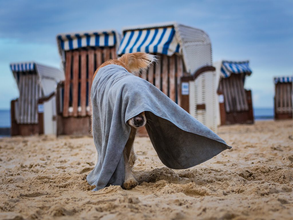 Claudia Baete – Fotografie